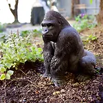 オステッロ ベッロ レイク ホステル コモ