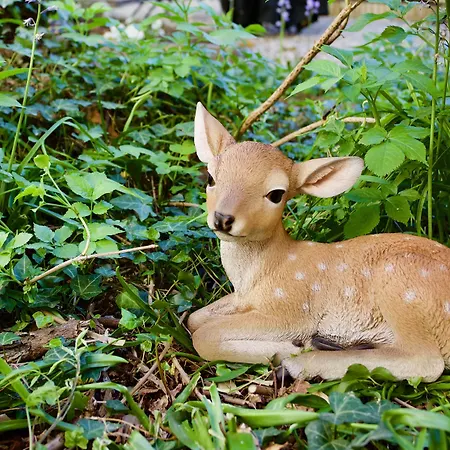Ostello Bello Lake Como * Como
