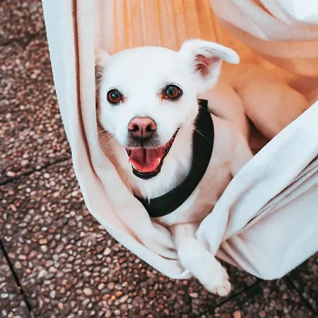 Ostello Bello Lake Como אכסניה קומו