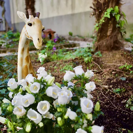 Ostello Bello Lake Como *