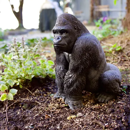 Ostello Bello Lake Como Auberge de jeunesse Côme